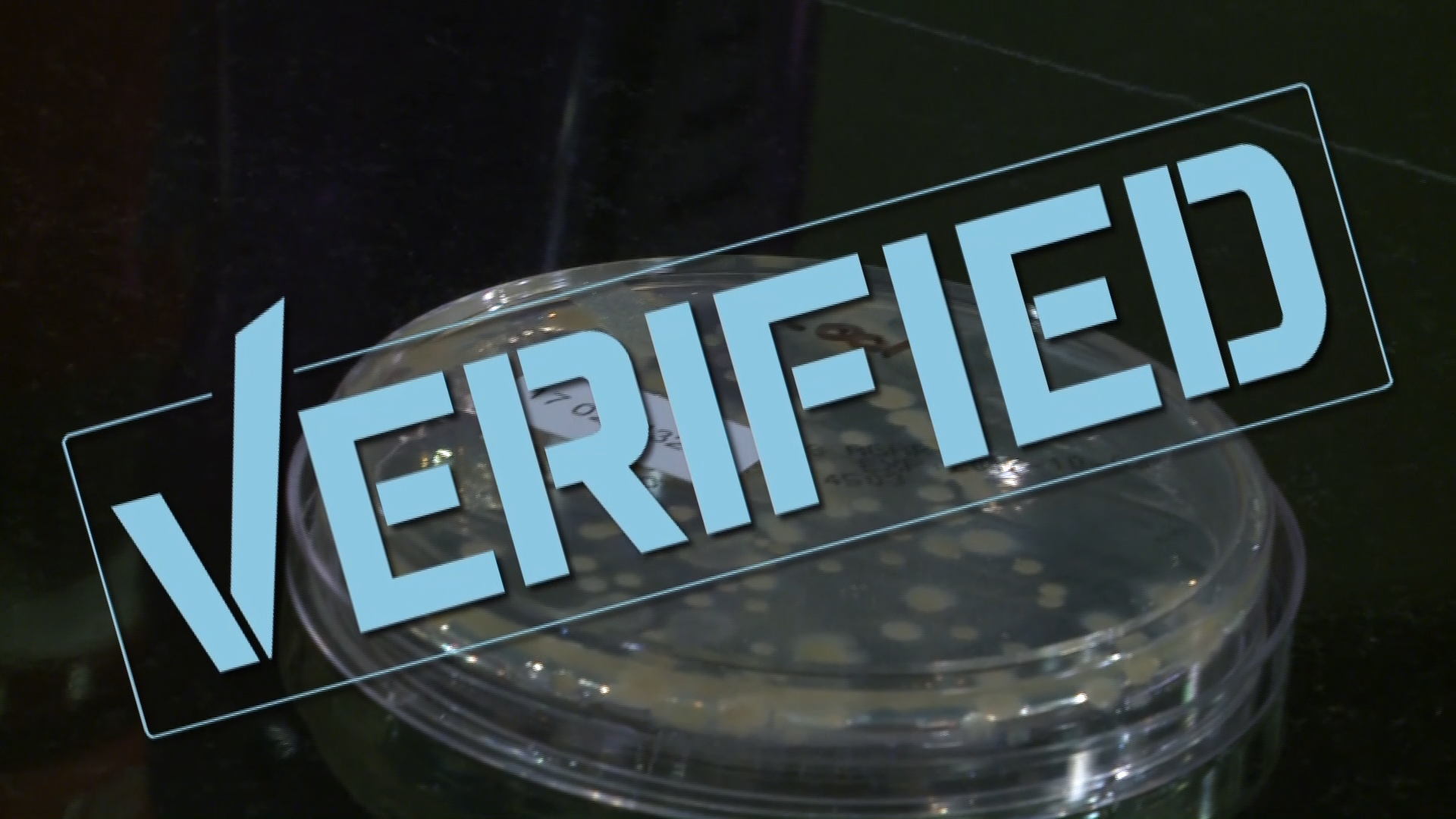 VERIFY Are reused water bottles loaded with bacteria?